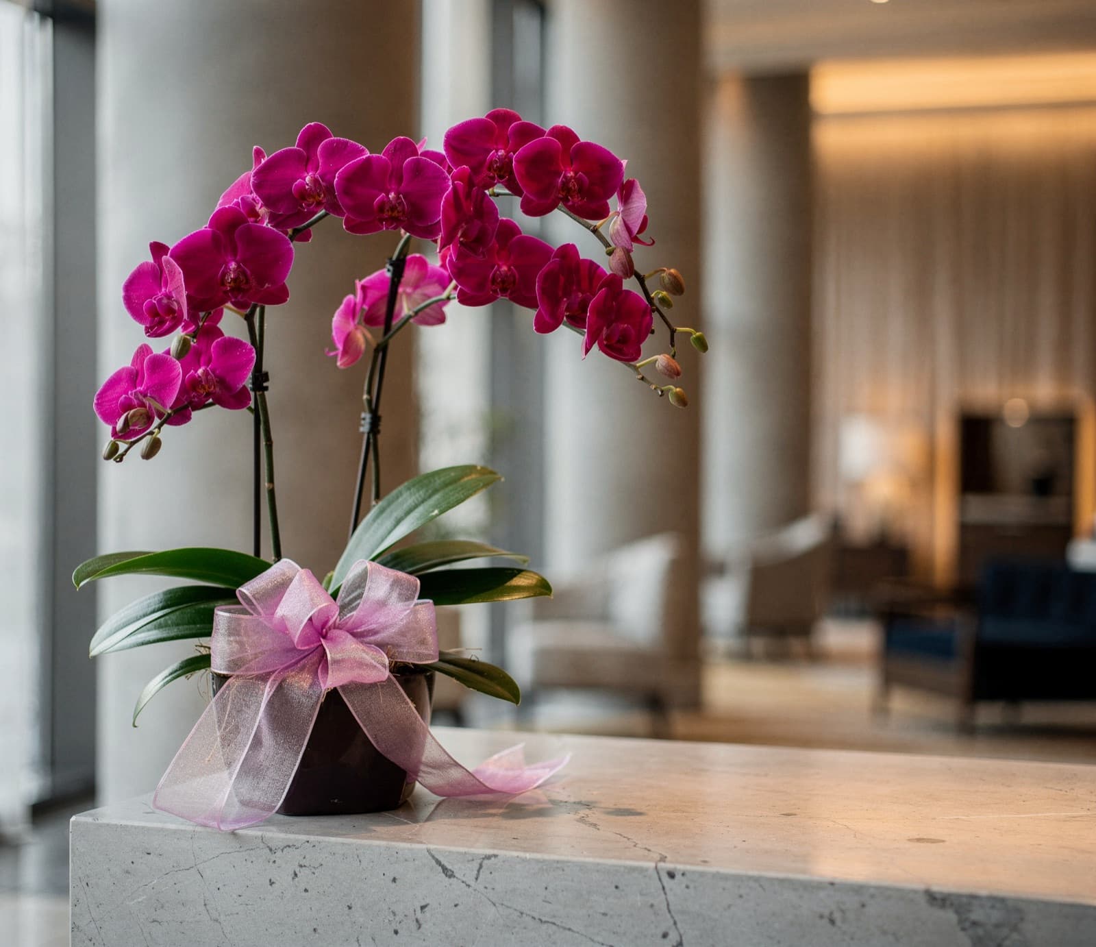 A magenta Phalaenopsis arrangement with a sheer pink ribbon on the marble reception desk of a hotel lobby